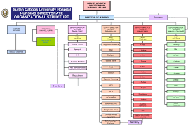 squh nursing directorate organisational chart download