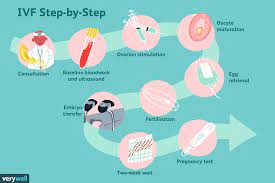 Understanding The Ivf Process Step By Step