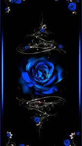 Most Beautiful Black And Blue Roses Pin By Catalina Porras On Roses Blue Roses Wallpaper Rose Wallpaper Black And Blue Wallpaper