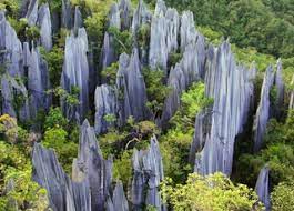 Popular taman negara national park categories. Taman Negara Mulu Kalao Voyages