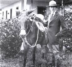 Image result for Dark Avocado 1977 Fedders