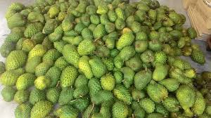 Bab.la is not responsible for their content. Durian Belanda Supplier Pembekal Reviews Facebook