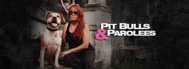 Huge fan right here ♥. Pitbulls Parolees44blue Home Facebook