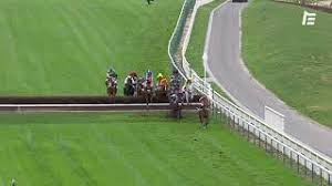 Maybe you would like to learn more about one of these? La Video Du Prix Du Salon Du Cheval De Paris 2019 Prix Cacao Course Pmu Du Samedi 2 Novembre 2019 Auteuil