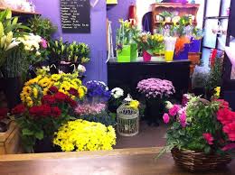 Get information, directions, products, services, phone numbers, and reviews on busy bee publishing in apopka, undefined discover more miscellaneous publishing companies in apopka on manta.com. Buzzy Bees Flowers Home Facebook