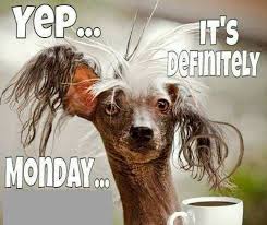 Welcome Morning Quotes Funny Funny Good Morning Quotes Good Morning Funny