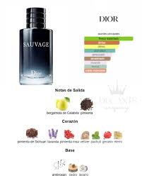 Dior - Sauvage Eau de Toilette 🍋🪻 Fragancia azul altamente versátil,  ideal para cualquier tipo de ocasión, olor limpio, fresco y masculino tipo  gel de ducha. Destaca por su característica nota de