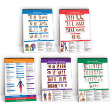 Trigger Point Flip Chart 6 Charts In One