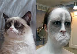 cat with makeup meme saubhaya makeup