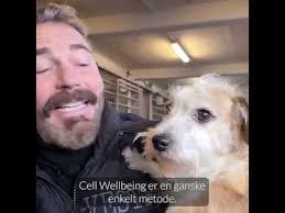 Cell-Wellbeing Official