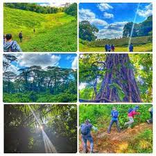 Participate in great works regional land trust's first virtual trail trek this june. 3 In 1 Forest Hike Sprawling Clementi Forest Dover Forest Ulu Pandan Hikes Buona Vista Mrt Station Toa Payoh 25 April 2021
