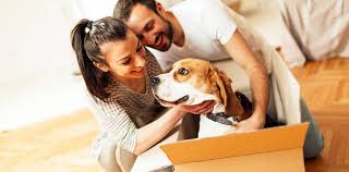 Full spectrum, hemp derived, veterinarian formulated, lab tested, and great for calming, hip & joint concerns, and epileptic pets. Pets Moving Services In Dubai Uae International Movers And Packers In Dubai Uae