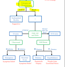 Image result for Progesterone Challenge Test