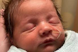 Fundraiser for Jonathan Holtz by Jennifer Brooks : Noah Holtz is home!