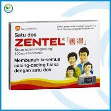 Google's free service instantly translates words, phrases, and web pages between english and over 100 other languages. Zentel Tablet 4 S Ubat Cacing Shopee Malaysia