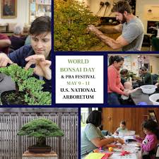 This weekend is almost here! Join us for a full weekend of events at the US  National Arboretum or, if you're out of the region, explore our online  celebration for World Bonsai