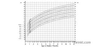 boys head circumference percentile chart science ks4 bw rgb