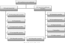 Figure 1 From The Effect Of Traditional Remedies Camels