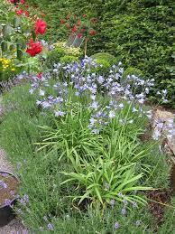 Pin On Garden Ideas