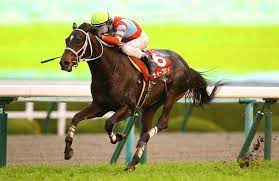 開催日, 場所, レース名, 動画, 着順, 騎手, トラック, 距離, 馬場状態. ãƒ‡ã‚£ãƒ¼ãƒ—ãƒœãƒ³ãƒ‰ Deep Bond ç«¶é¦¬ãƒ‡ãƒ¼ã‚¿ãƒ™ãƒ¼ã‚¹ Jra Van Ver World