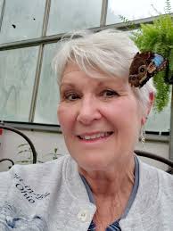 The Owl & the Butterfly 🦉🦋 What sounds like and looks like something  possibly out of a fairytale became a reality for me as I sat waiting and  hoping for the appearance