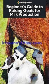 Tujuan konsep produksi adalah pencapaian efisiensi prosuksi, biaya rendah, dan distribusi massa. Panduan Permulaan Untuk Meningkatkan Kambing Untuk Pengeluaran Susu