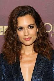 In april 2011, torrey married paul wesley (who plays stefan salvatore in the vampire diaries), but they divorced in july 2013. Torrey Devitto Blonde Celebrities Torrey Devitto Melissa Hastings