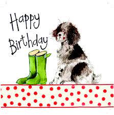 Check spelling or type a new query. Springer Spaniel Birthday Card Alex Clark Art