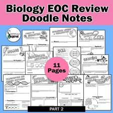 Biology eoc review packet answers. Biology Eoc Review Worksheets Teaching Resources Tpt