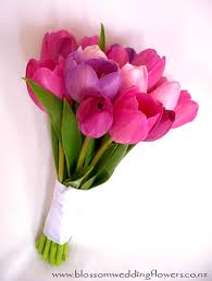 We did not find results for: Pink Tulip Wedding Bouquet Pink Tulip Wedding Bouquet Visi Flickr
