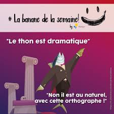 Banane Plantyn Perle D Eleves In 2020