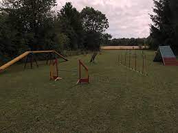 Agility Parcour A1 Hves Hundesport Hunde Sport