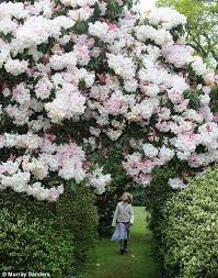The Twister In Bicester Tornado Sweeps Through Oxfordshire And Buckinghamshire As Britain Is Hit By Supercell Storm Beautiful Gardens Romantic Garden Dream Garden