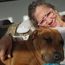 Chained Dogs MKE, Inc. (@chaineddogsmke) • Instagram photos and videos