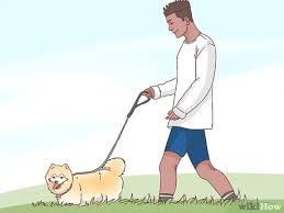 Hope tips of how to attract a cancer woman here will make. 3 Ways To Attract A Cancer Woman Wikihow