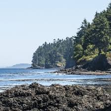 Tide Tables Salt Creek Wa Modern Coffee Tables And Accent