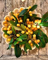 Nispero Nisperos Temporadadenisperos Frutas Fruta Fruits Fruit Garden Gardens Gardener Gardening Gardenlife Huertourb Fruit Secret Garden Marbella