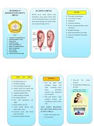 Check spelling or type a new query. Leaflet Plasenta Previa