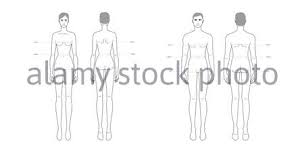 Some people study the human body. Men And Women Standard Body Parts Terminology Measurements Illustration For Clothes And Accessories Production Fashion 9 Head Male And Female Size Chart Human Body Infographic Template Stock Vector Image Art Alamy