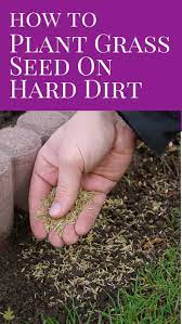 How To Plant Grass Seed On Hard Dirt In 2021 Planting Grass Grass Seed Best Grass Seed