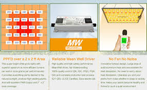 The gavita pro 1700e has been the best selling led light of 2020 and maybe 2021. Amazon Com 1000w Led Grow Light 2x2ft Coverage Dimmable Full Spectrum Grow Lights For Indoor Plants Veg Flower Greenhouse Growing Lamps With Meanwell Driver Garden Outdoor