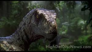 Best 43 Velociraptor Desktop Backgrounds On Hipwallpaper Beautiful Widescreen Desktop Wallpaper Desktop Wallpaper And Naruto Desktop Backgrounds Find the best velociraptor wallpapers on wallpapertag. velociraptor desktop backgrounds on