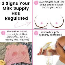 When Is Milk Supply Established When Breastfeeding Exclusive Pumping