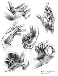Pin By Amanda Wood On Anatomy Drawings Art Tutorials Hand Art