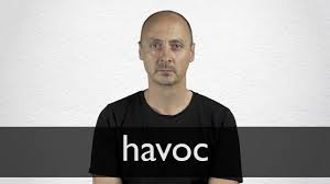 So to wreak havoc is to bring about widespread destruction. Havoc Definition And Meaning Collins English Dictionary