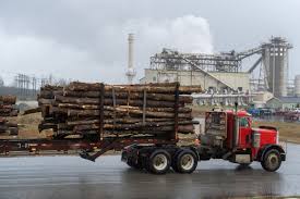 I did have a face mask on but too hot to pull over the nose and such. The Green Energy That Might Be Ruining The Planet Politico