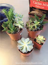 My mom added in the toad house (which we. Easy Indoor Succulent Rock Garden Houseful Of Handmade