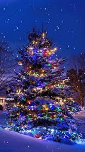 Outside Decorated Holiday Tree Discover Amp Share This Animated Gif With Everyone You Know Giphy Is How Christmas Scenes Animated Christmas Christmas Tree