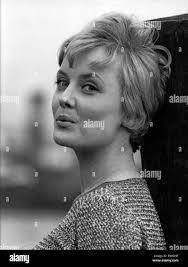 Brueck hi-res stock photography and images