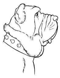 Each link on this page links directly to a download for the featured page. Mastiff Coloring Pages Dog Coloring Pages Coloring Pages For Kids And Adults